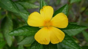 G225d35829b7e18da7585b83252465f3a3c6f7b60b6618ca81bdd8d00498535256698d52f6dbda44b676c40654b11a1ee7b2ec694fabc1aa382a5e025f1a6698a 640